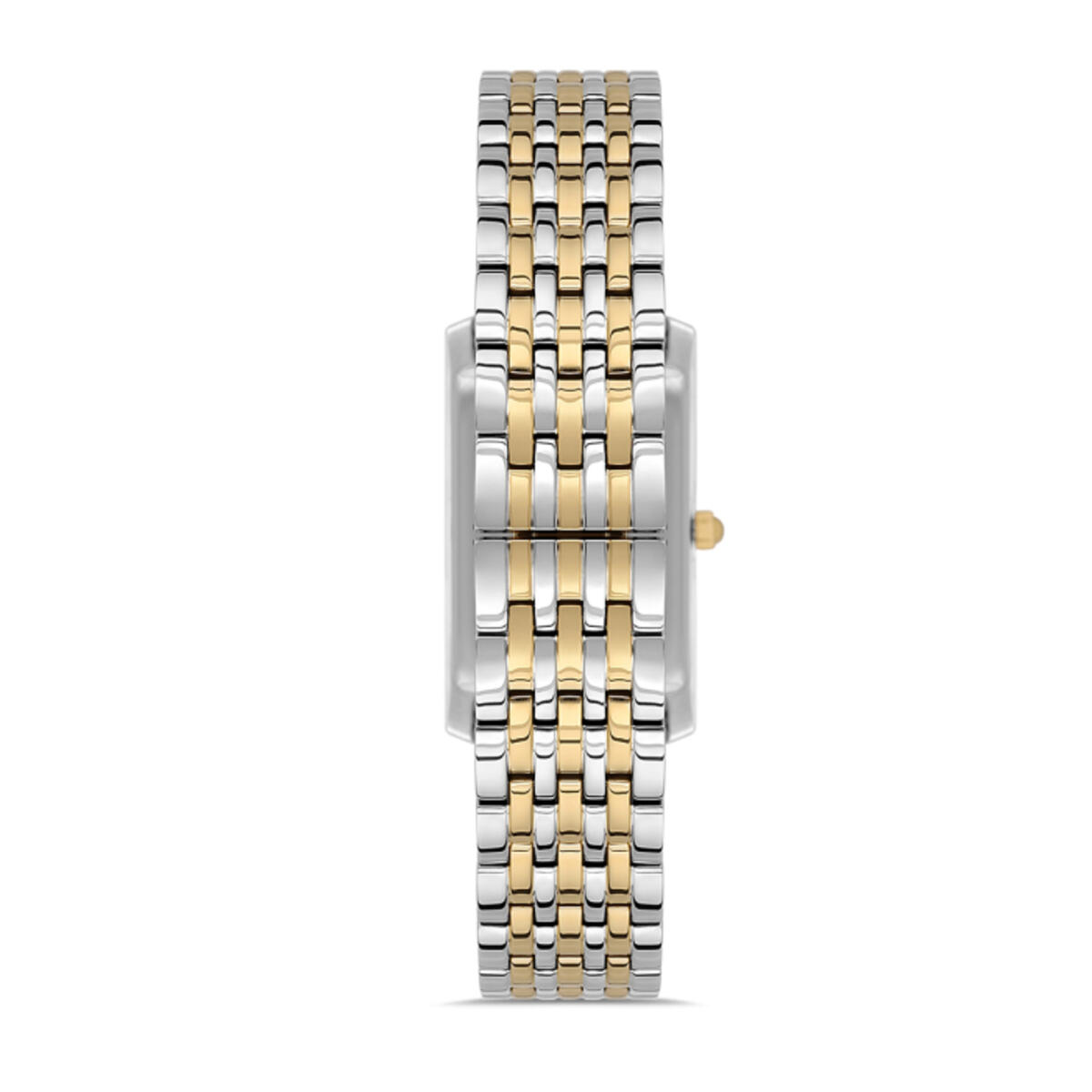 Momentus Saat Kadın CS370G-15TG