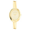 Calvin Klein Saat Kadın CK25100056