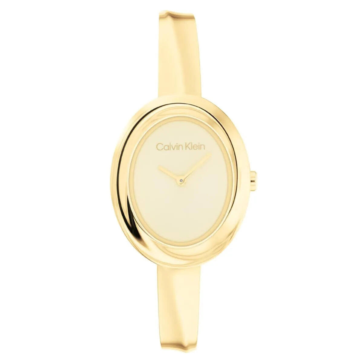 Calvin Klein Saat Kadın CK25100056