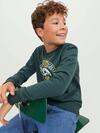 Jack&Jones Junior Sweatshirt 12247870 Koyu Yeşil