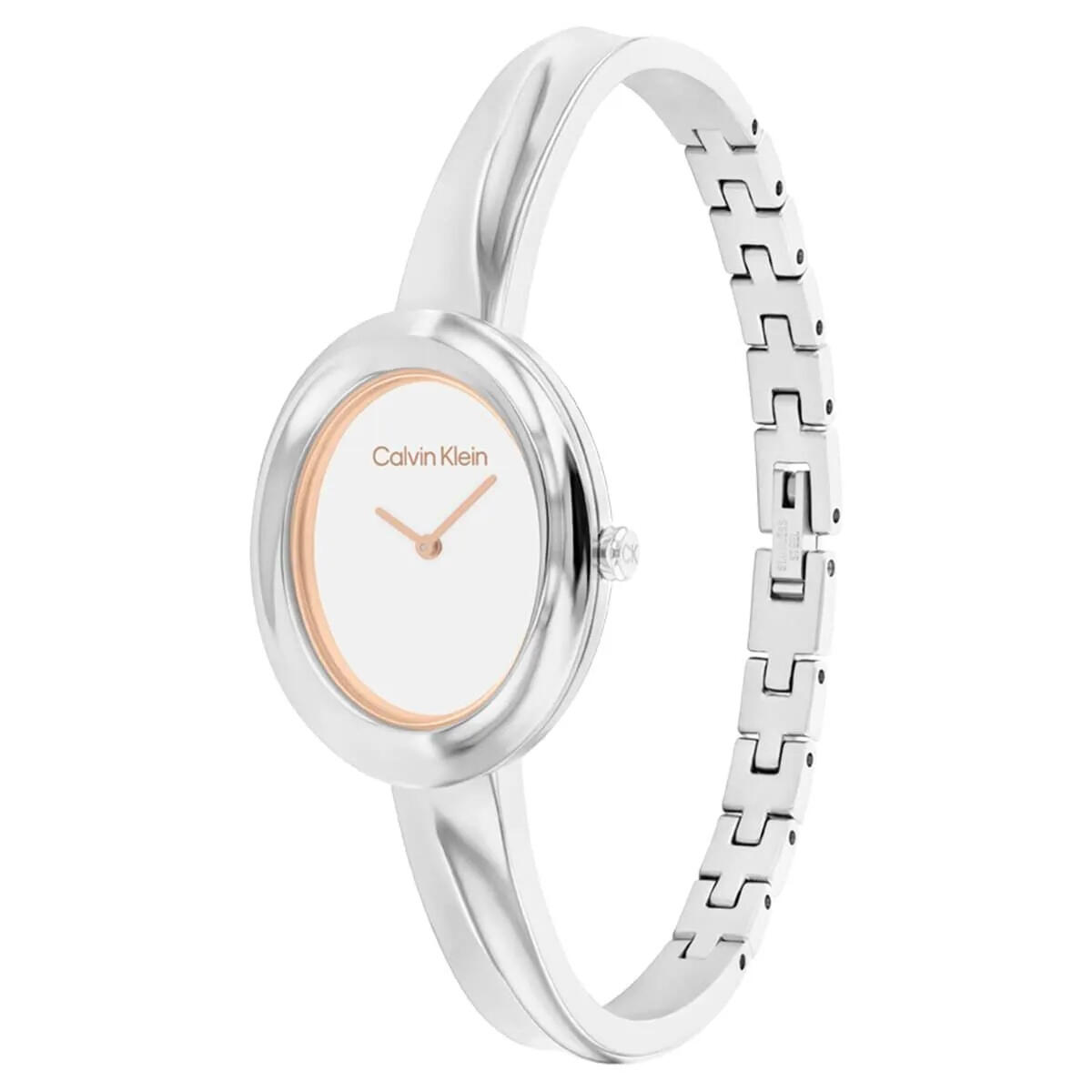 Calvin Klein Saat Kadın CK25100055