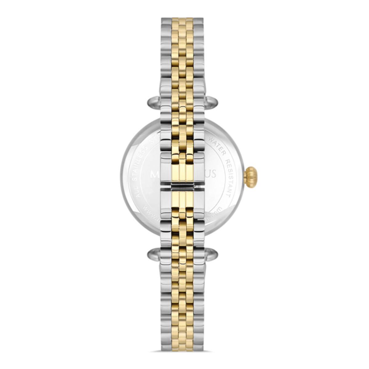 Momentus Saat Kadın CW340S-02TG
