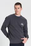 Wrangler Sweatshirt W6895935355 Antrasit