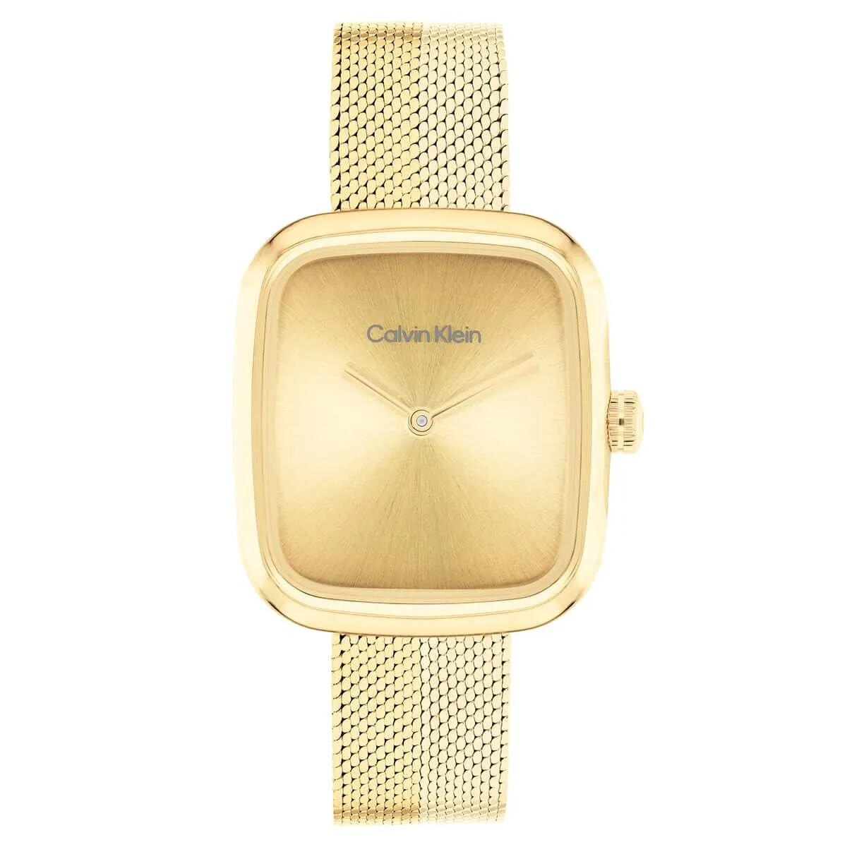Calvin Klein Saat Kadın CK25100099