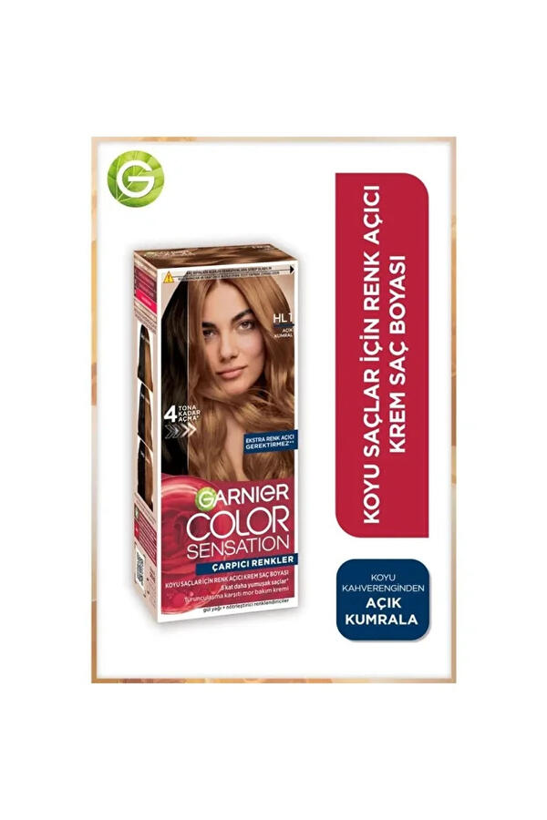 Garnier Saç Boyası Çarpıcı Renkler No:6.31