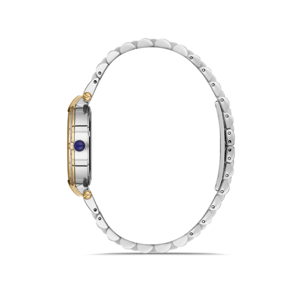 Momentus Saat Kadın CS386T-15SG
