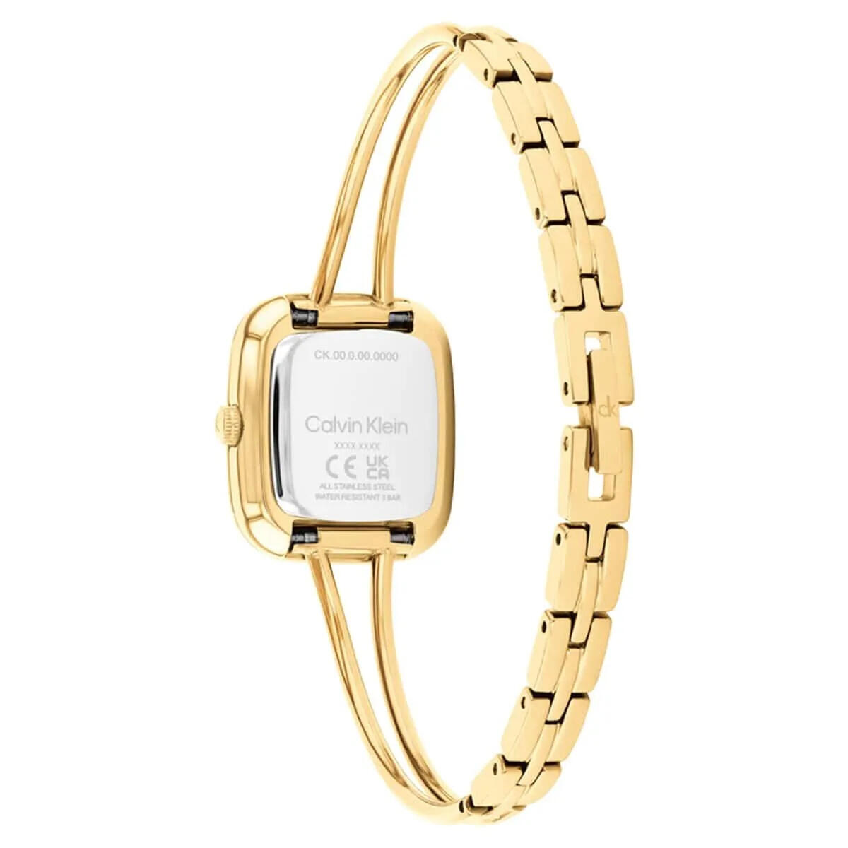 Calvin Klein Saat Kadın CK25100132