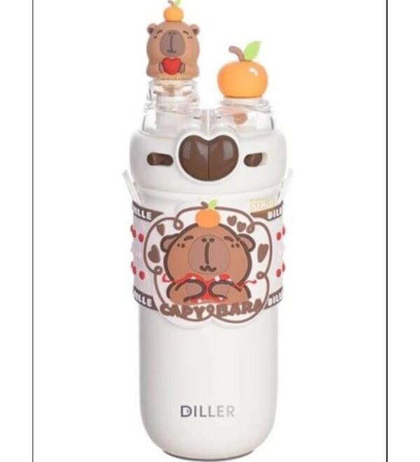 Dıller Matara Paslanmaz Çelik 520Ml D9285