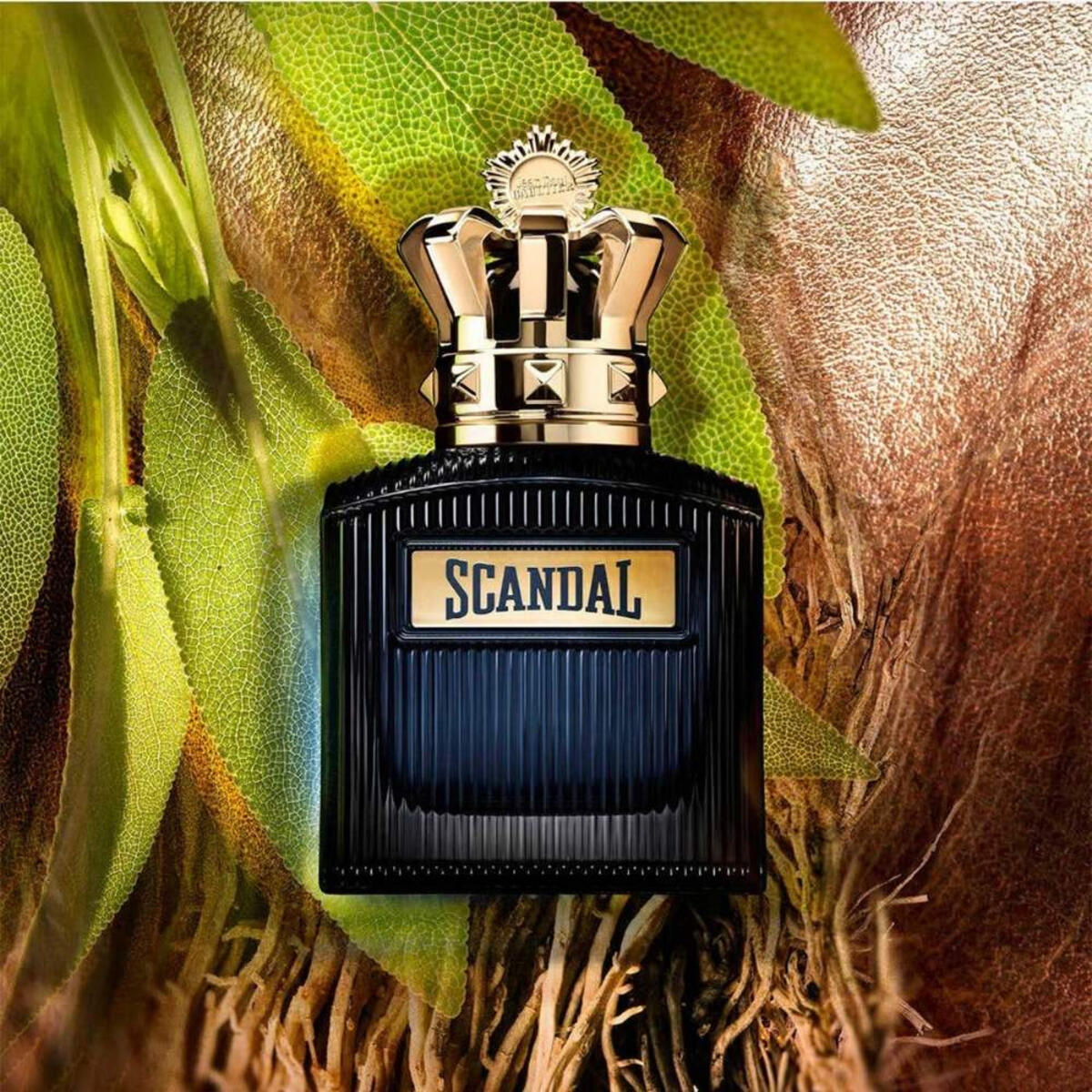 Jean Paul Gaultier Erkek Parfüm Scandal İntense Him Edp 100Ml