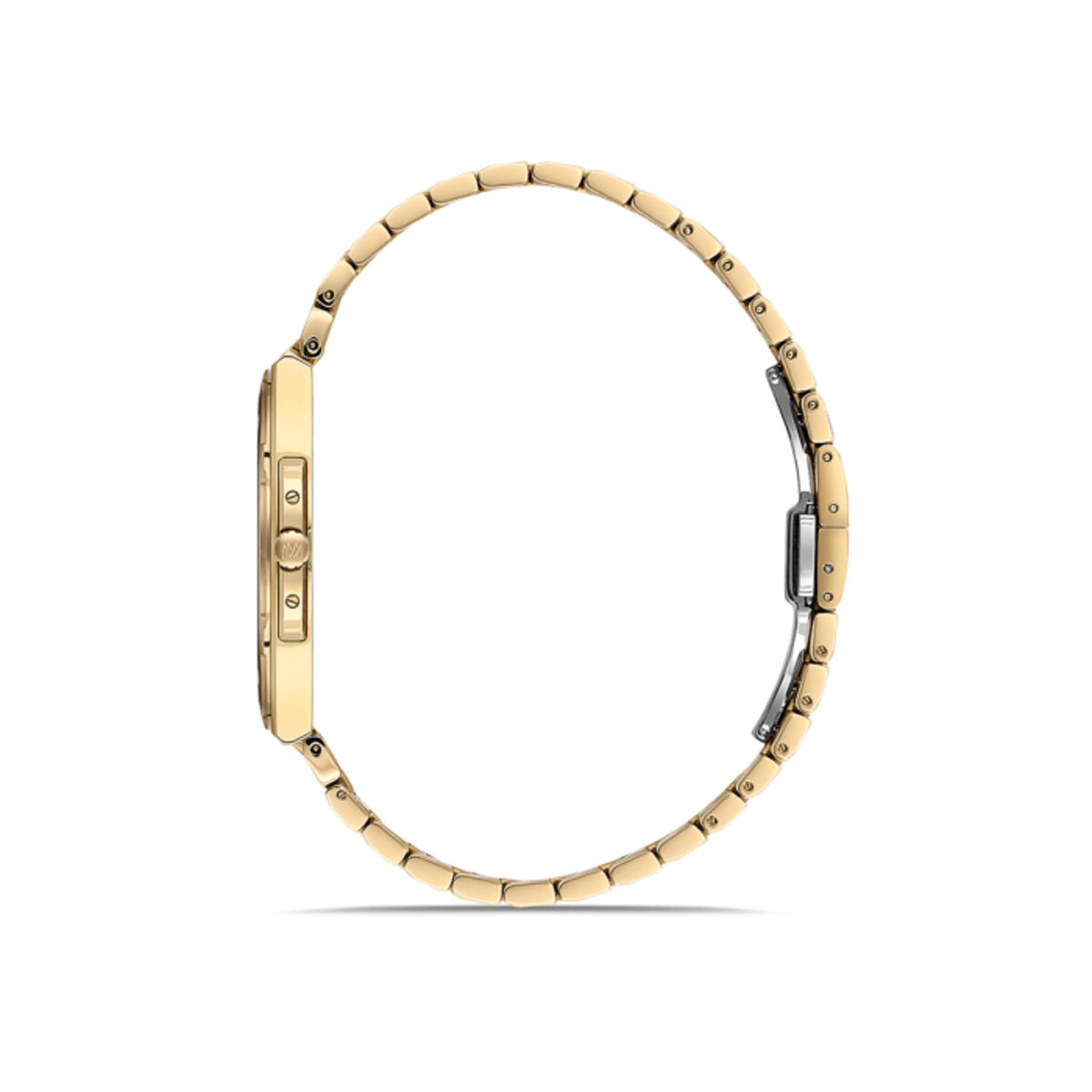Momentus Saat Erkek EM390G-02SG