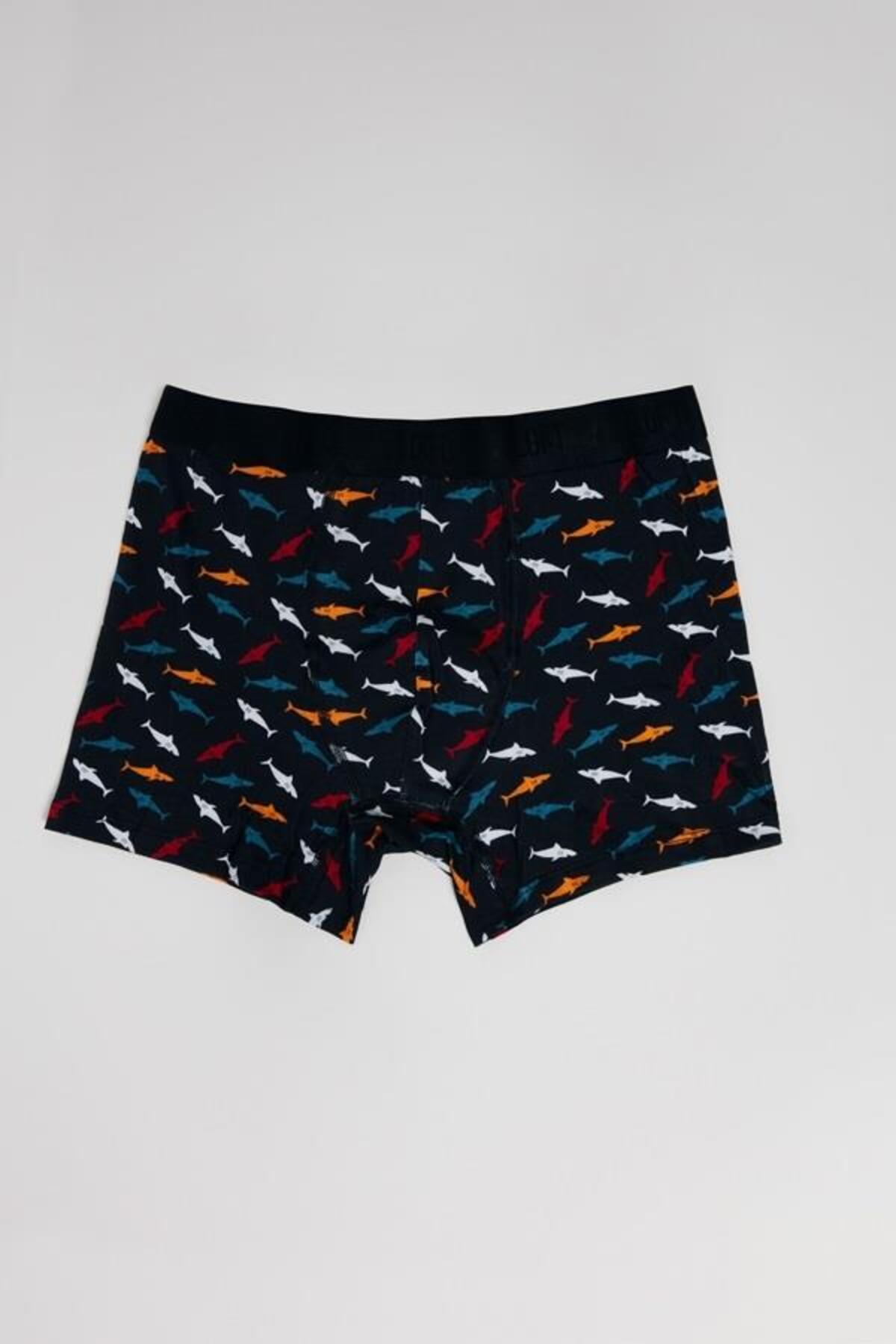 Loft Boxer 2035963 Multi