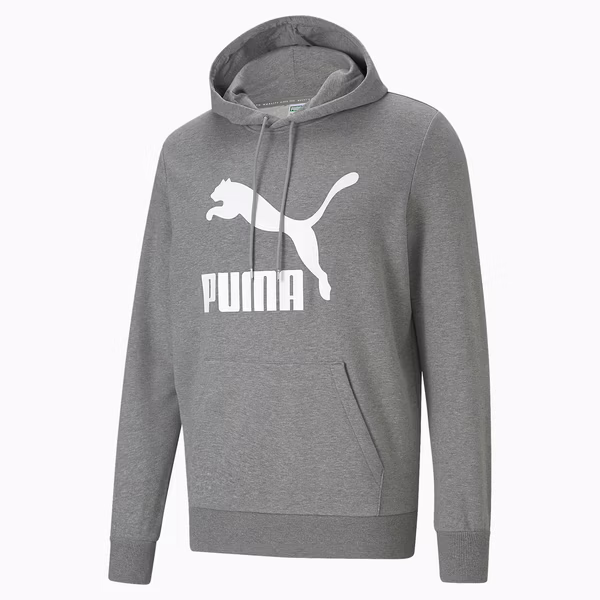 Puma Hoodie Classics Logo Hoodie Tr 530084_03 Gri