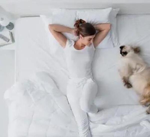 Livdora Yorgan Tek Kişilik Microfiber Loren