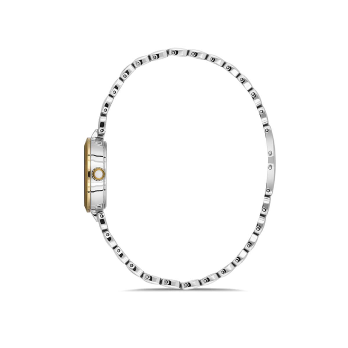 Momentus Saat Kadın SS279T-09SG