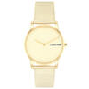 Calvin Klein Saat Kadın CK25100035