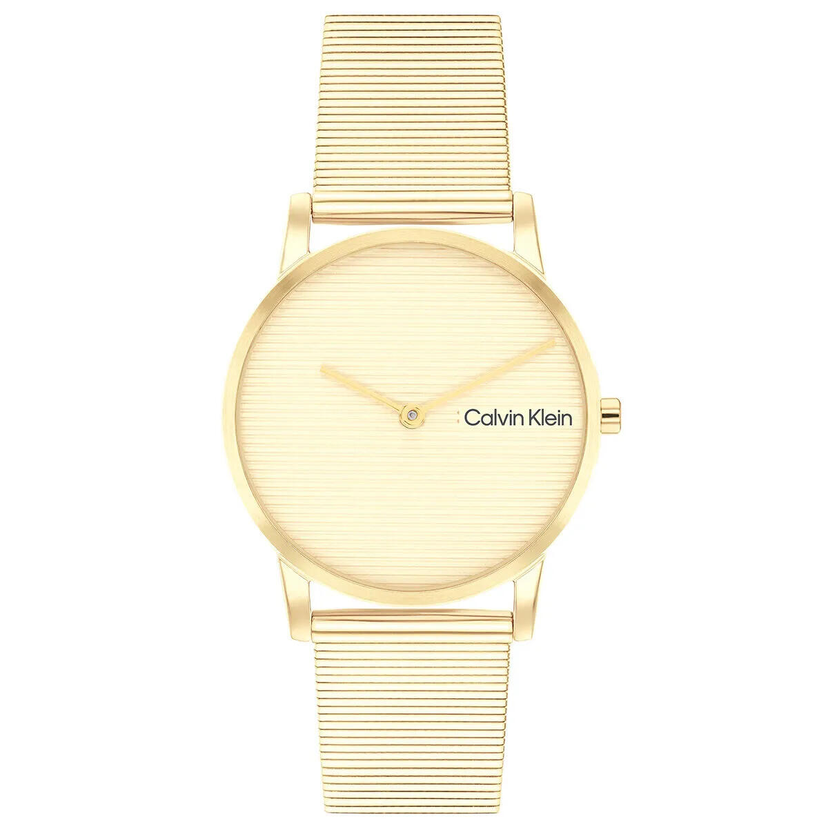 Calvin Klein Saat Kadın CK25100035