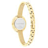 Calvin Klein Saat Kadın CK25100056