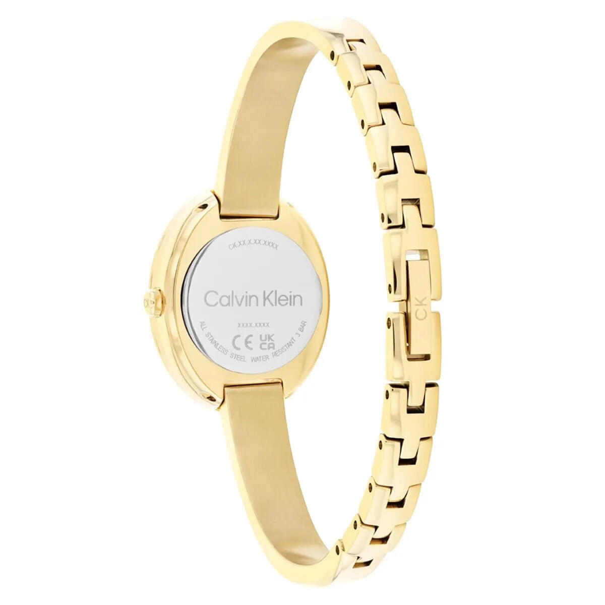Calvin Klein Saat Kadın CK25100056