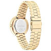 Calvin Klein Saat Kadın CK25100094