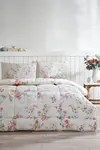 Nev Nt Çk Rnf Rosa Gallıca Krem