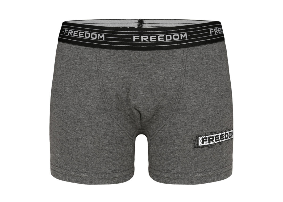 Donella Boxer Erkek Çocuk 8024B3 8/9