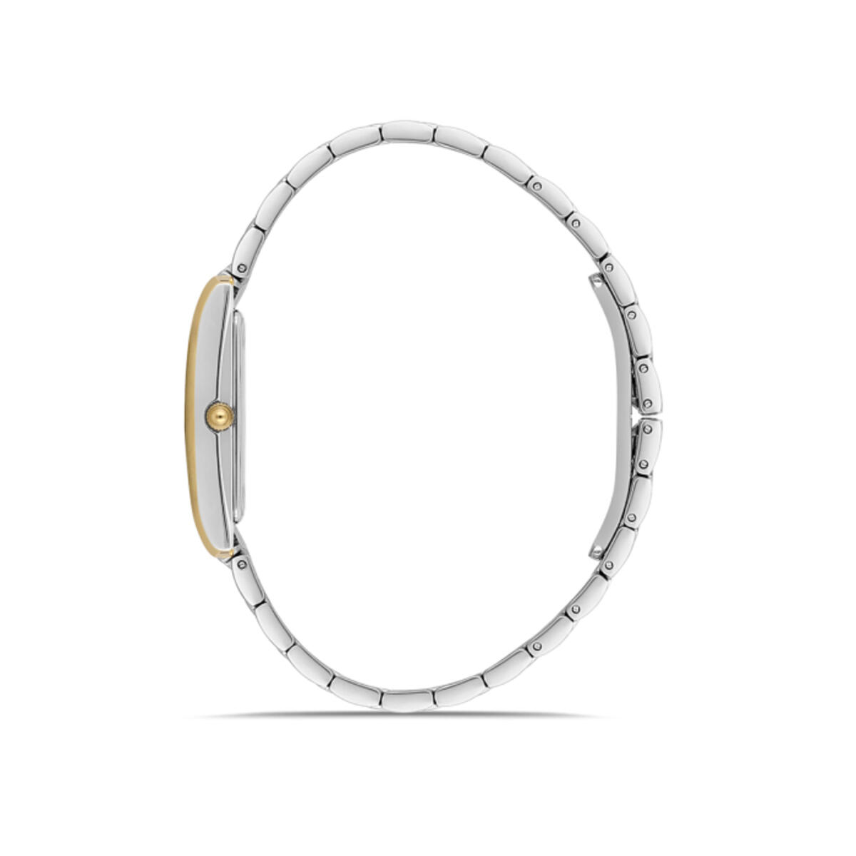 Momentus Saat Kadın CS370G-15TG