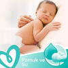Prima Islak Havlu Fresh 9Lu 52 Yaprak