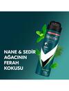 Rexona Erkek Deodorant Invisible Mint Fresh 150Ml