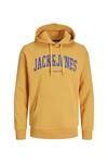 Jack&Jones Sweatshirt 12236513 Hardal
