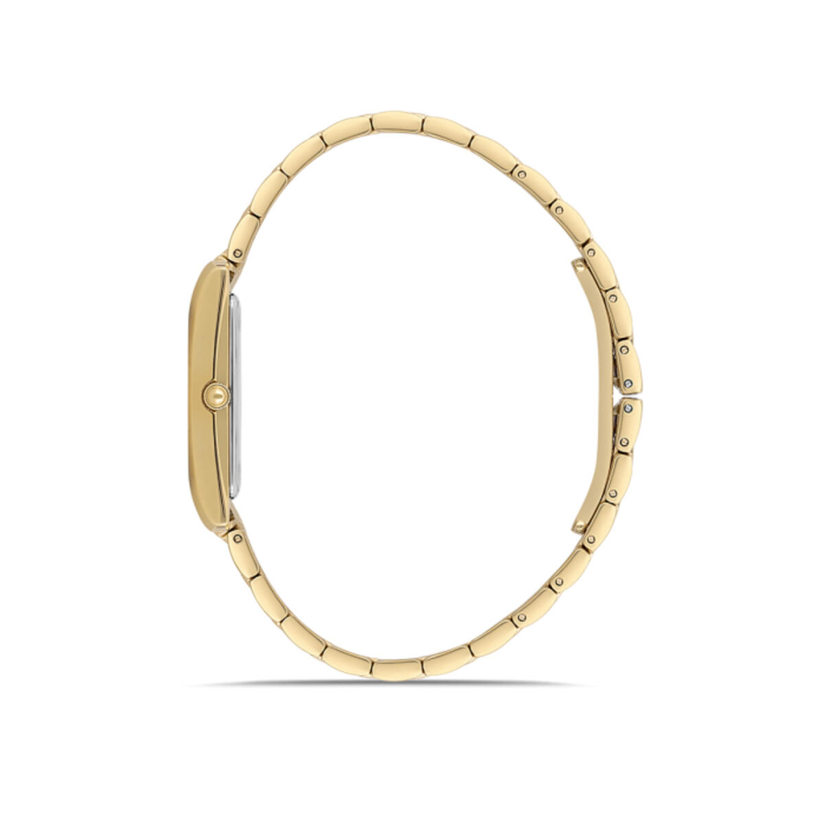 Momentus Saat Kadın CS370G-02SG