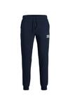 Jack&Jones Eşofman Alt 12178421 Lacivert XL