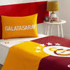 Taç Nt Tk Lisanslı Brf Galatasaray Efsana 10
