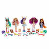Enchantimals Şehir Bebekleri Beşli Paket MTL-HHC19