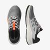 Salomon Alphaglıde Gore-Tex L47975300 Antrasit/Gri/Turuncu