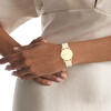 Calvin Klein Saat Kadın CK25100035