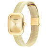 Calvin Klein Saat Kadın CK25100099