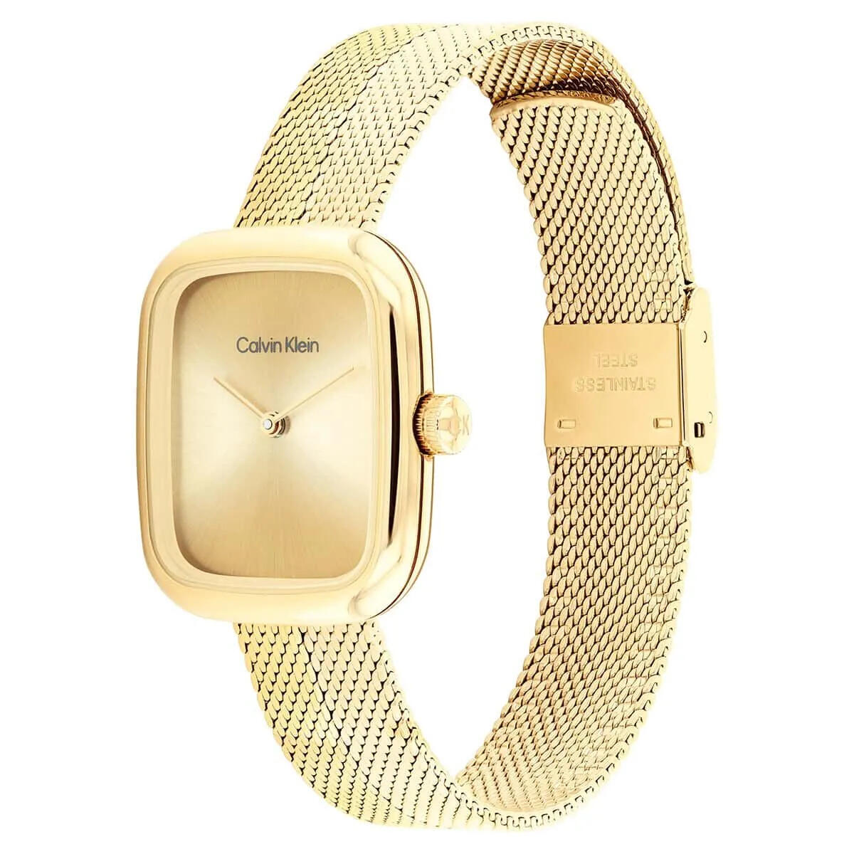 Calvin Klein Saat Kadın CK25100099