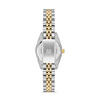 Momentus Saat Kadın CW135T-02SG