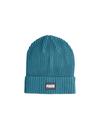 Puma Ribbed Classic Cuff Beanie 02403811 Yeşil ADULT