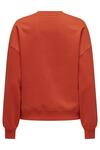 Only Sweatshirt 15329876 Narçiçeği