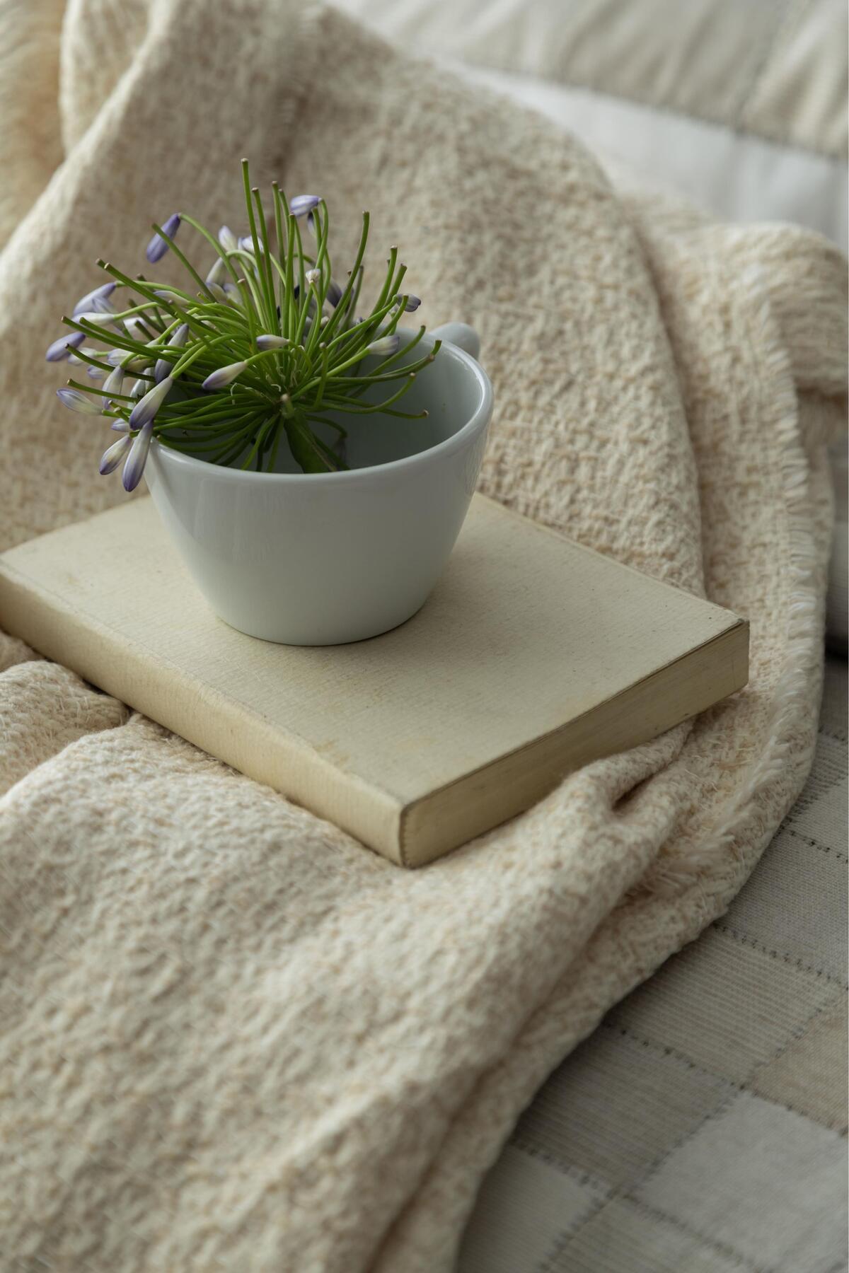 Apricitas Home Timeless Prime Set Çift Kişilik Piazza Beıge