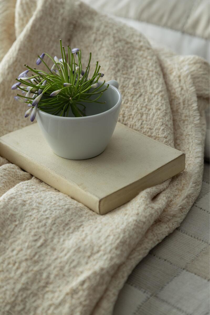 Apricitas Home Timeless Prime Set Çk Piazza Beıge