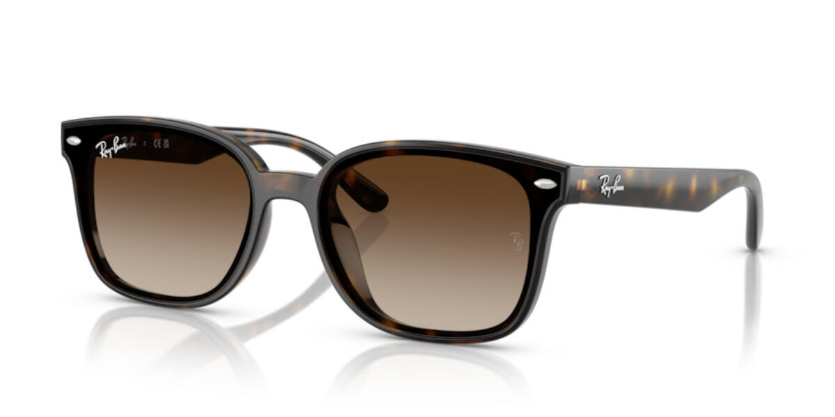 Ray-Ban Gözlük Unisex 0RB4461D 710/13 64
