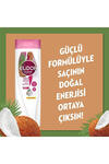 Elidor Şampuan Hindistan Cevizi Yağı 400Ml