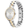 Calvin Klein Saat Kadın CK25200132