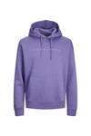 Jack&Jones Sweatshirt 12233972 Lila